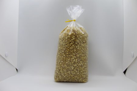 White Hulless Popcorn